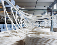 //iprorwxhmnpill5p-static.micyjz.com/cloud/lrBpjKmrliSRmjqokqpijp/cotton-sliver-for-roving.png