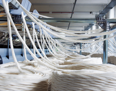 About Yangzhou Rich-You Daily Healthcare Products Co., Ltd.